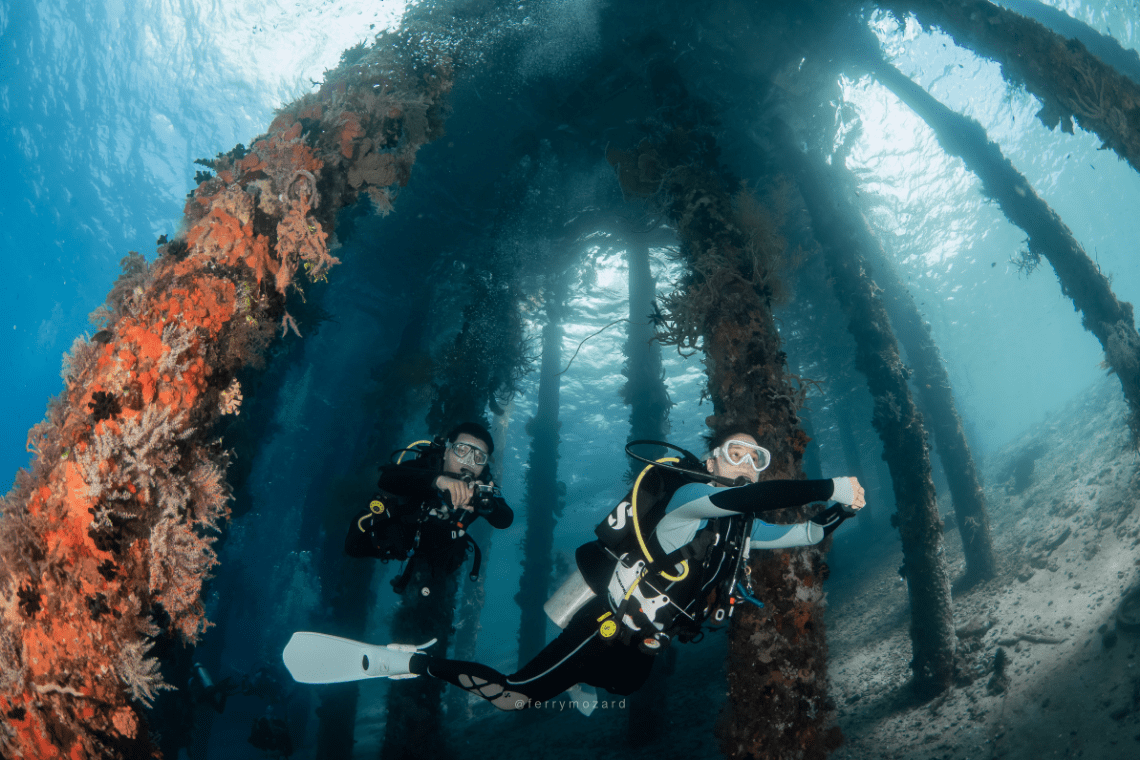 Moko Alor Dive Moko Alor Dive