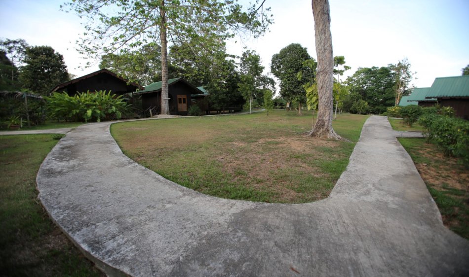 Bukit Melapi Lodge- Diving Holidays
