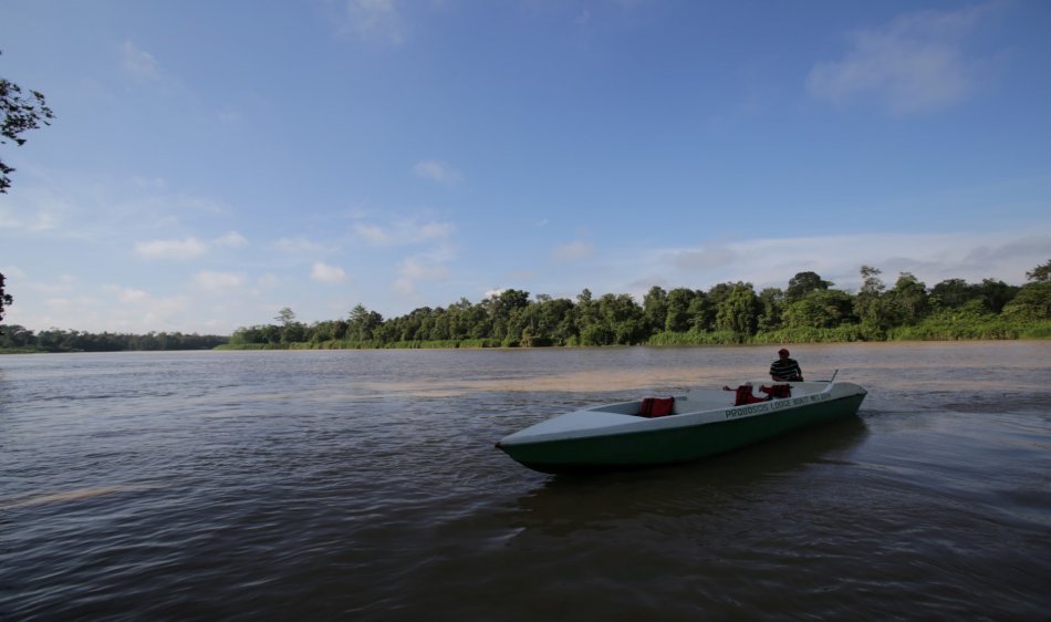 Bukit Melapi Lodge- Diving Holidays