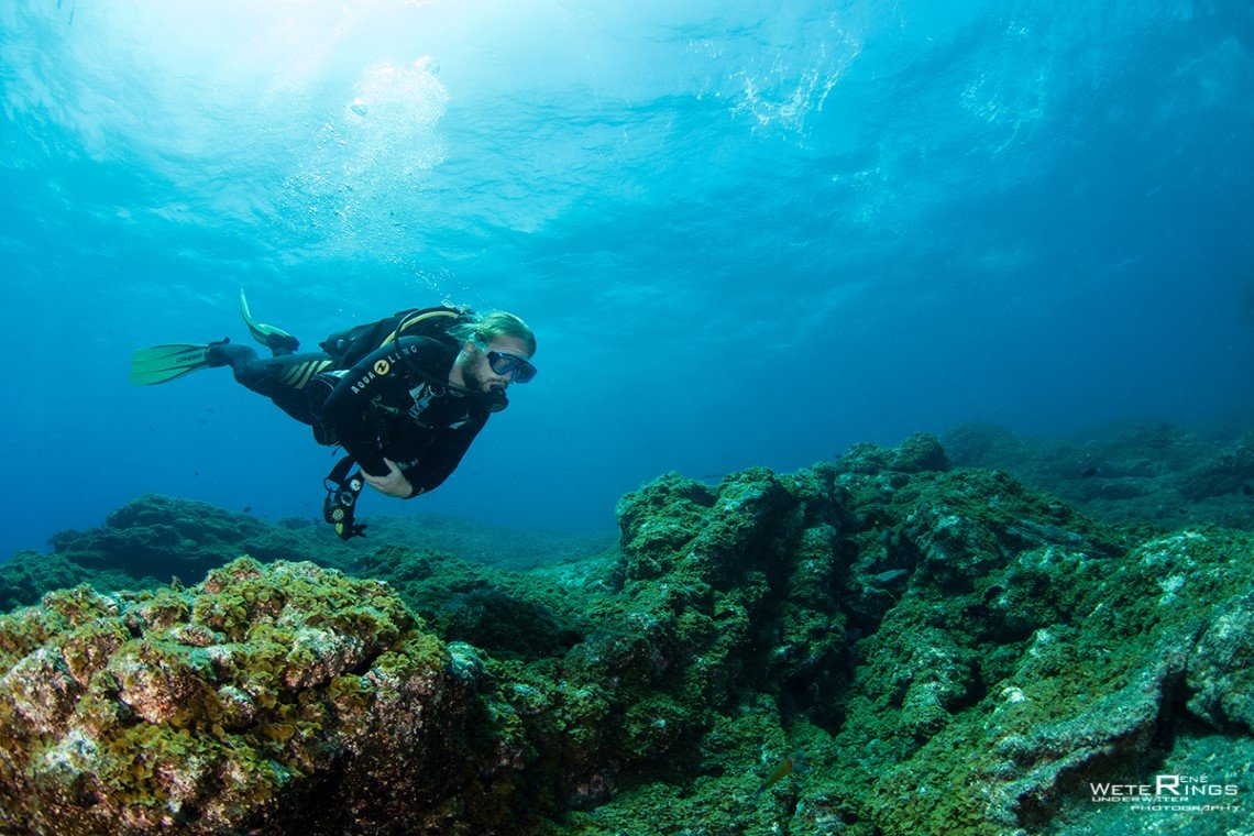 13.jpg Casa de Buceo - Diving Holidays