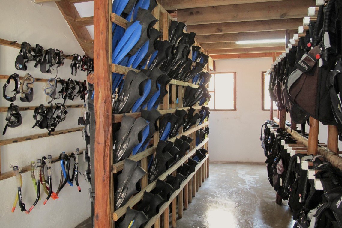 Tofo Scuba - Diving Holidays