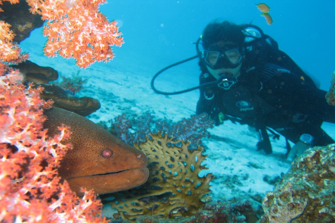 Scubafish Duikcentrum - Diving Holidays