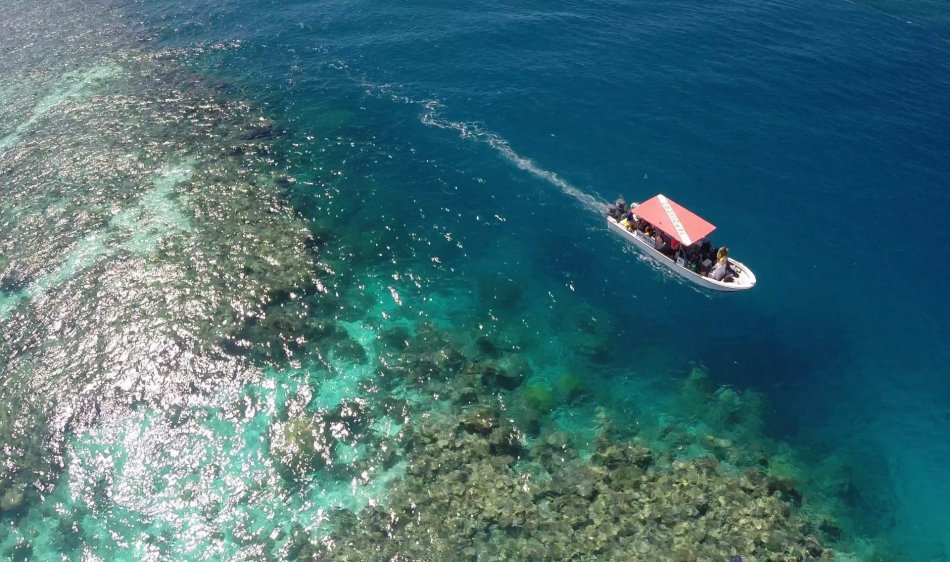 Manta Ray Bay Hotel - Diving Holidays