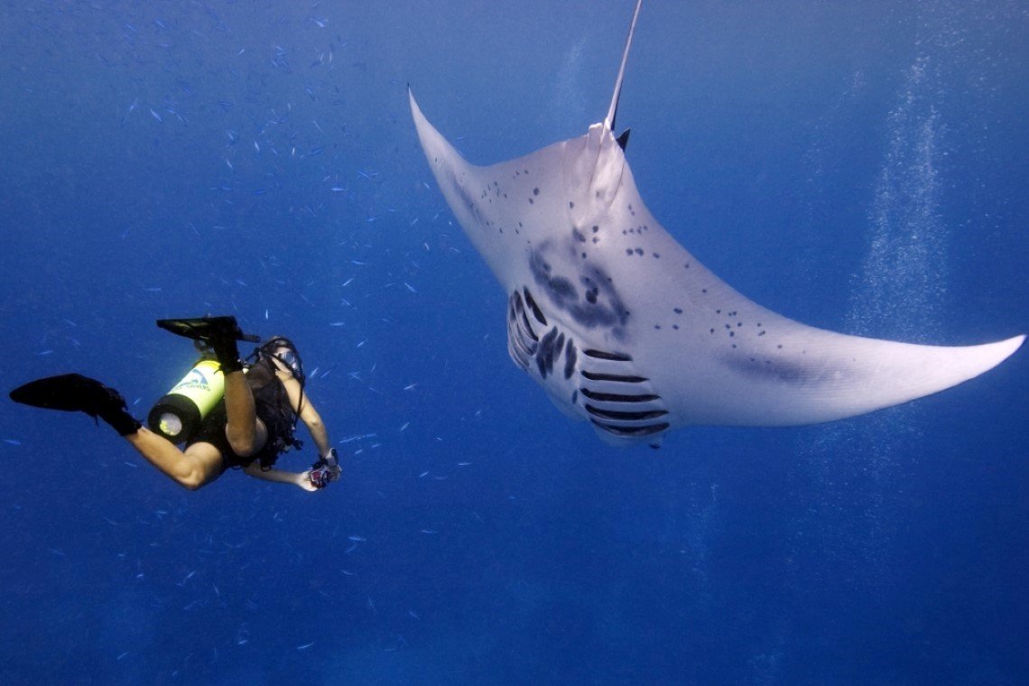 Yap Divers - Diving Holidays Yap Divers - Diving Holidays
