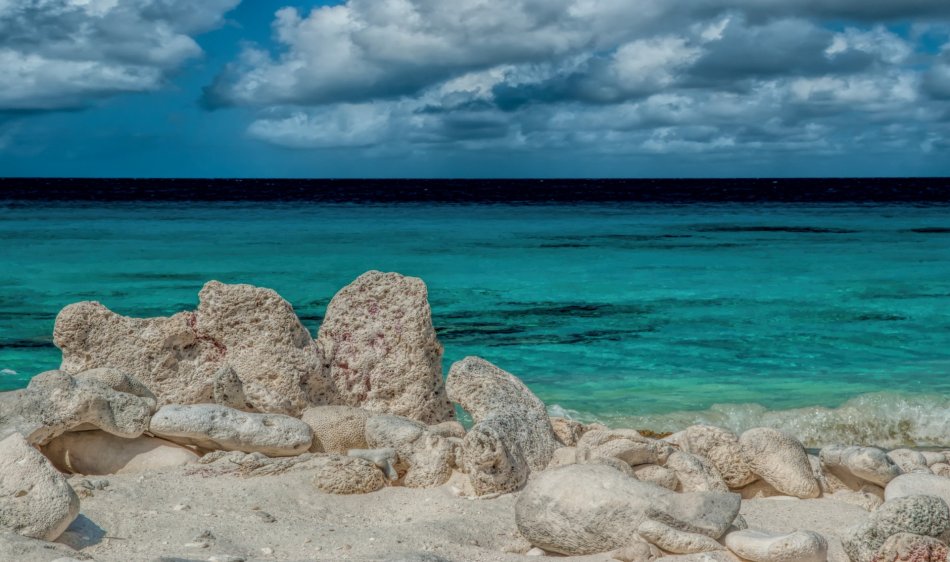 Bonaire - Diving Holidays