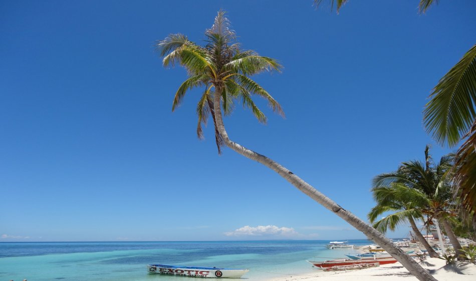 Malapascua - Diving Holidays