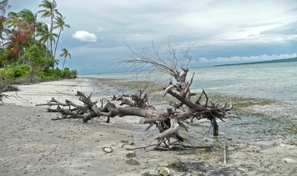 Centraal Sulawesi - Diving Holidays