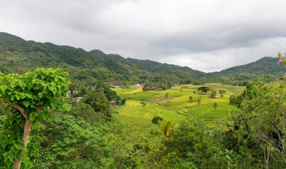 Bohol - Diving Holidays