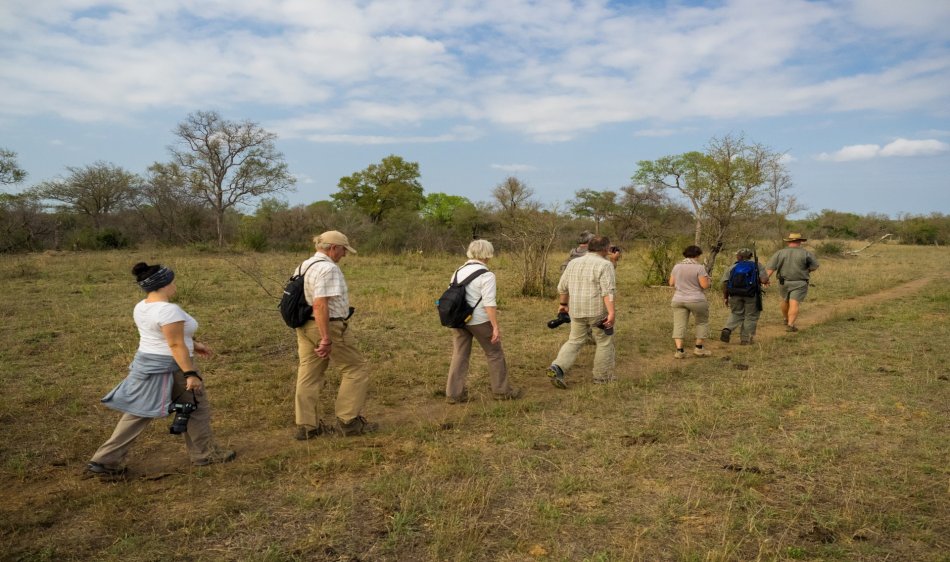 Krugerpark - Diving Holidays