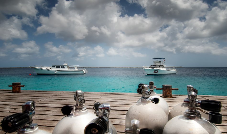 Bonaire - Diving Holidays