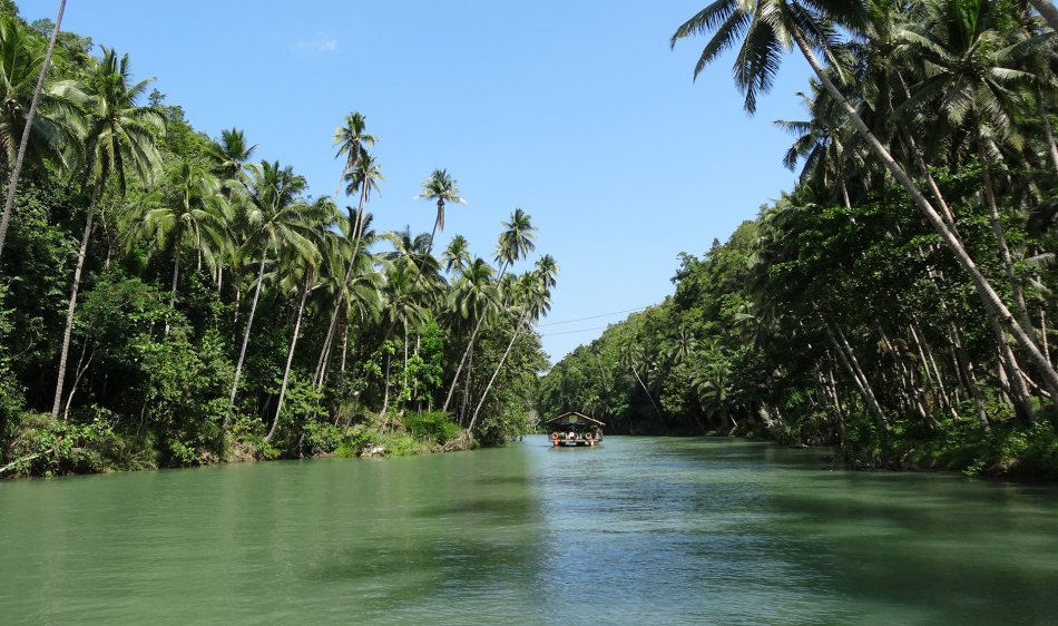 Bohol - Diving Holidays