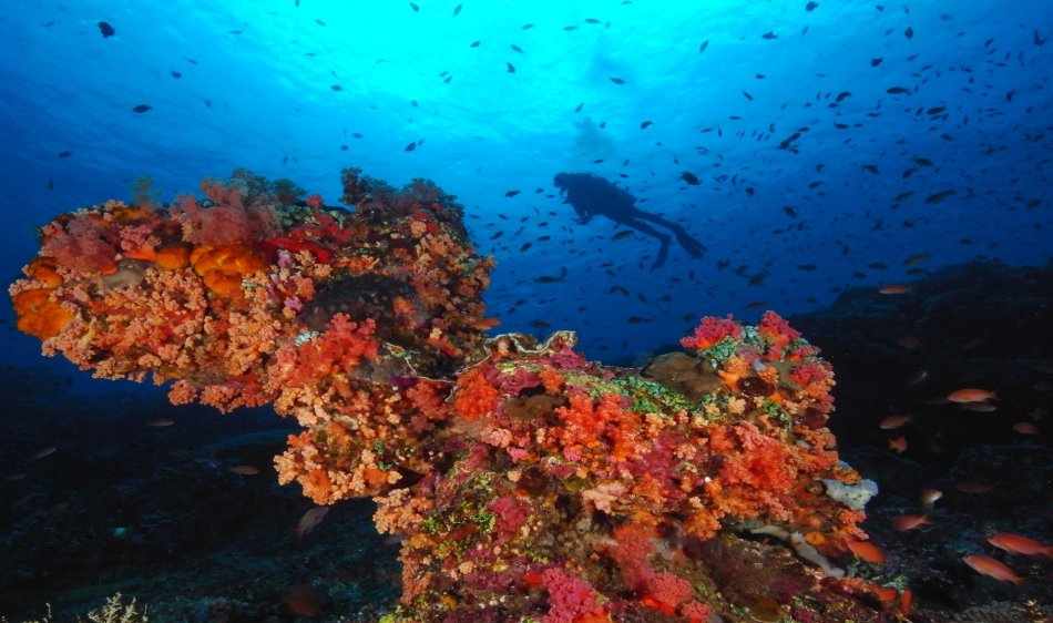 Duikrondreis Bali - Diving Holidays