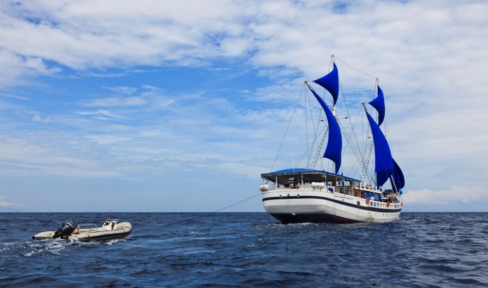SY Indo Siren - Diving Holidays