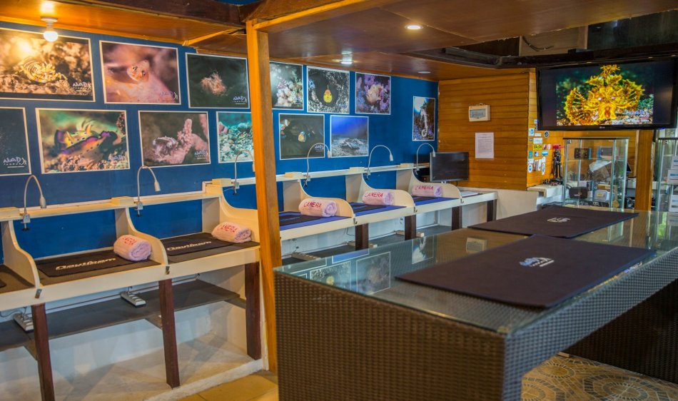 Fotografie - Diving Holidays