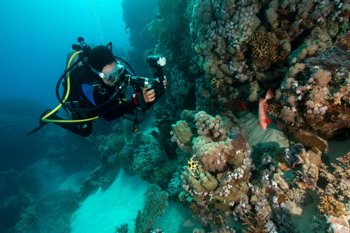 fotografiereis shagra duiken (7).jpg Red Sea Diving Safari - Marsa Shagra