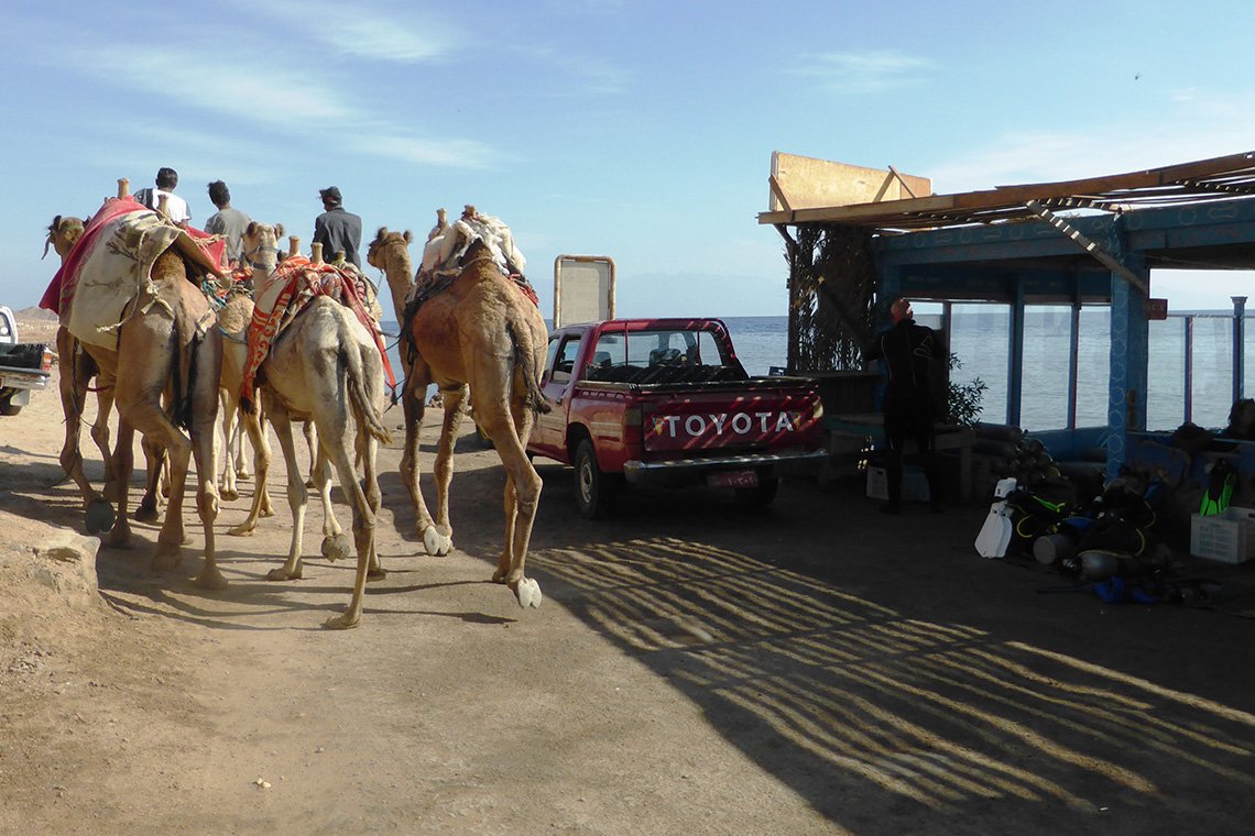 InMo Divers Home Dahab - Diving Holidays