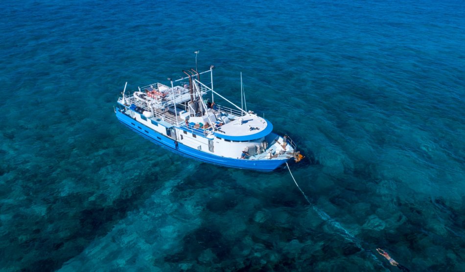 Bahama's - Diving Holidays