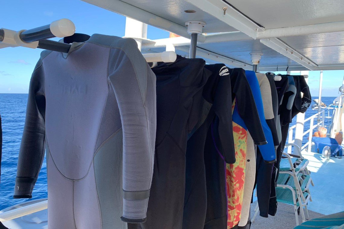 Dolphin Dream Liveaboard - Diving Holidays