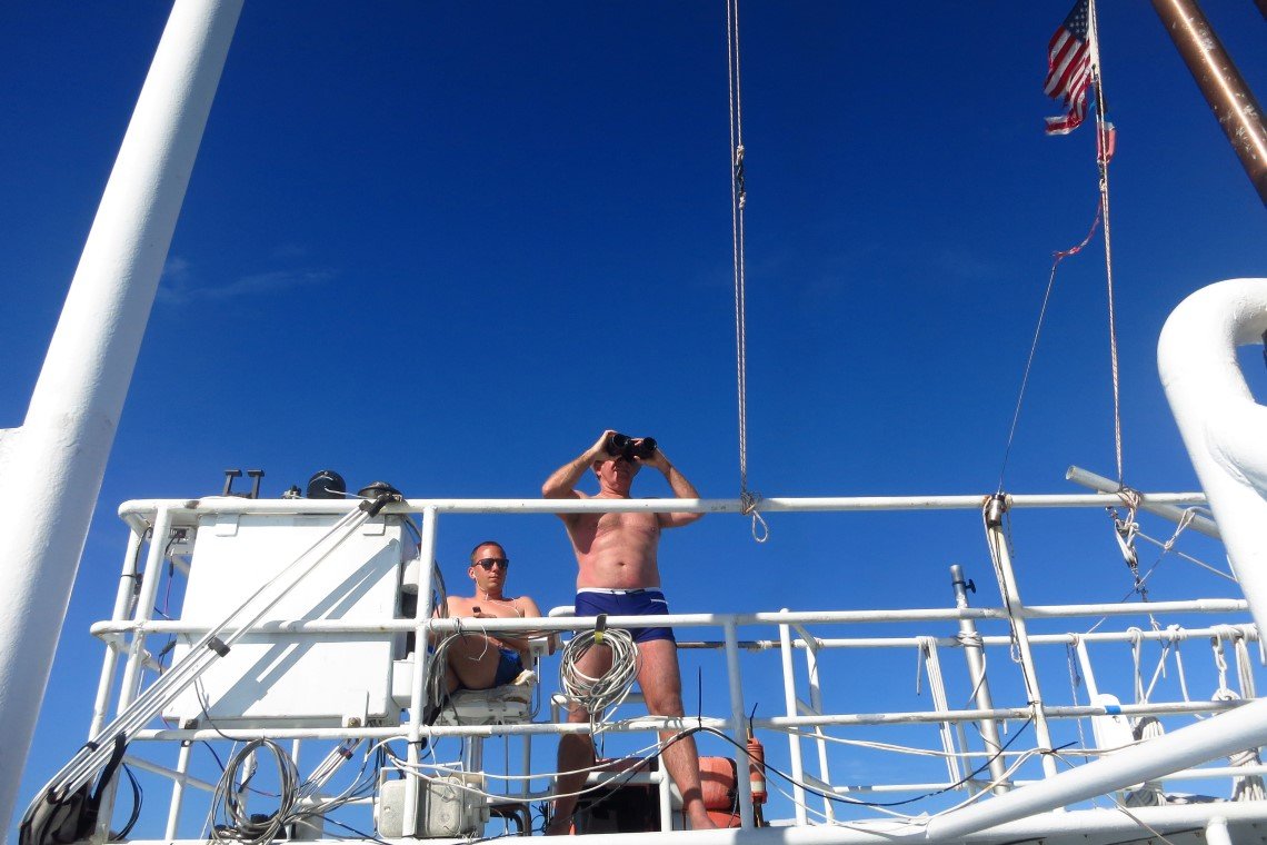 Dolphin Dream Liveaboard - Diving Holidays Dolphin Dream Liveaboard - Diving Holidays