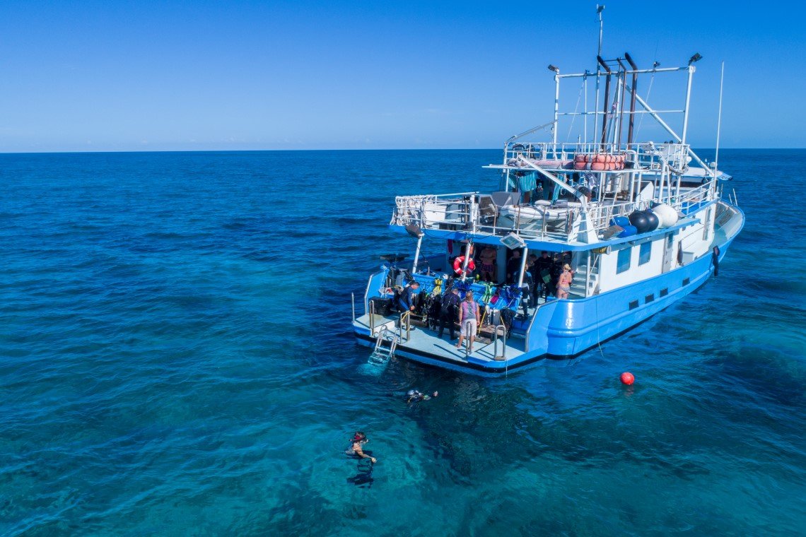 Dolphin Dream Liveaboard - Diving Holidays Dolphin Dream Liveaboard - Diving Holidays