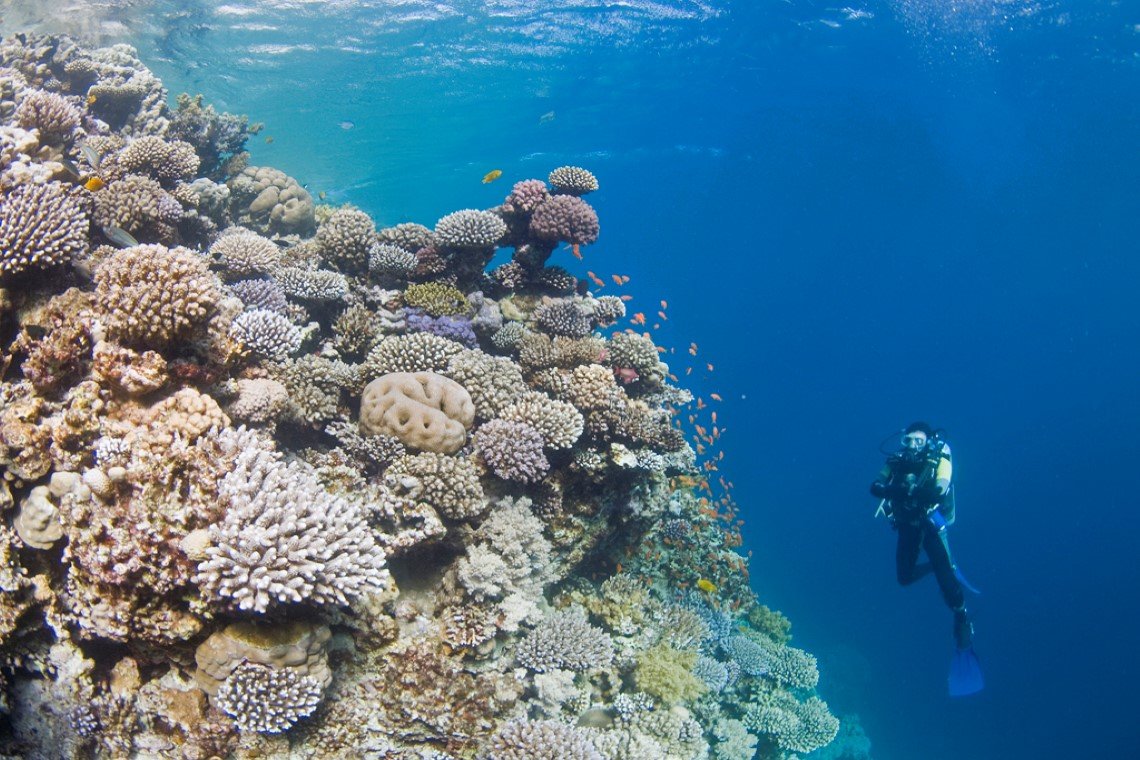 Nesima Resort - Diving Holidays