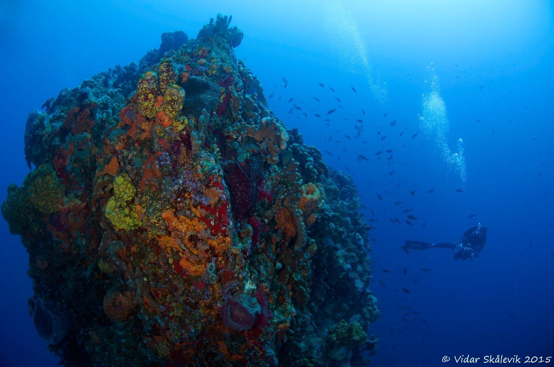 Sea Saba Advanced Dive Center - Diving Holidays Sea Saba Advanced Dive Center - Diving Holidays