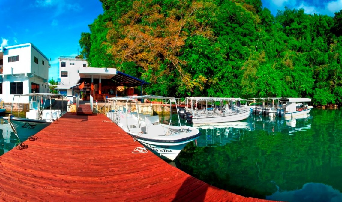 Fish 'n Fins - Diving Holidays Fish 'n Fins - Diving Holidays