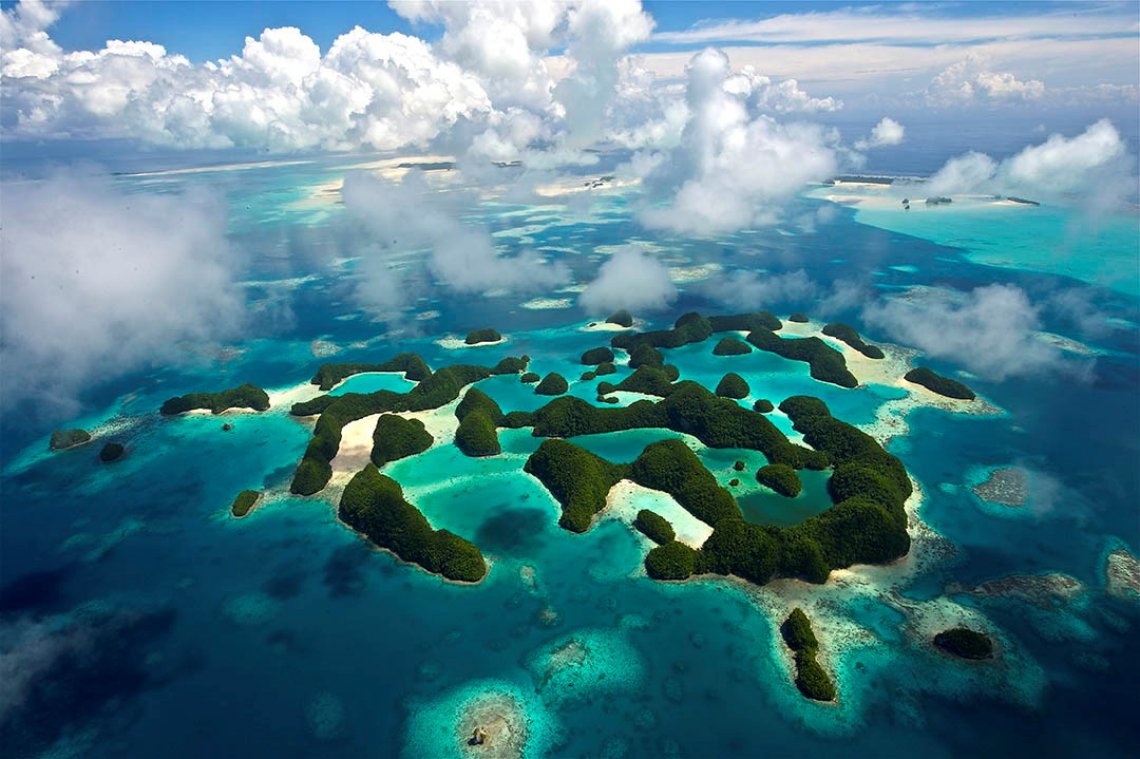 Fish 'n Fins - Diving Holidays