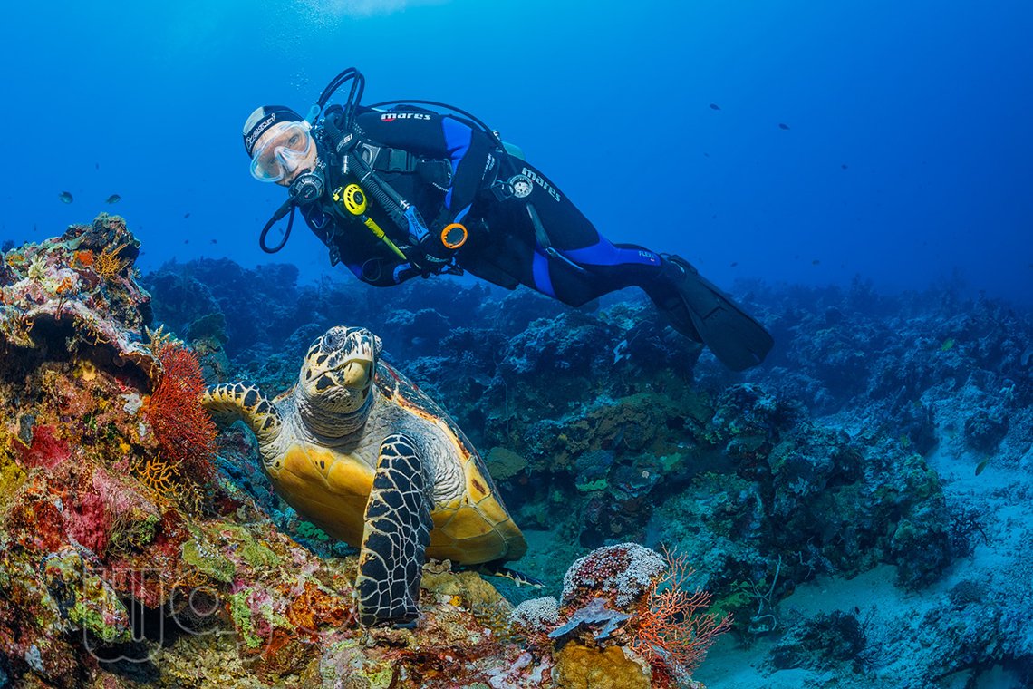 Karang Divers - Diving Holidays Karang Divers - Diving Holidays