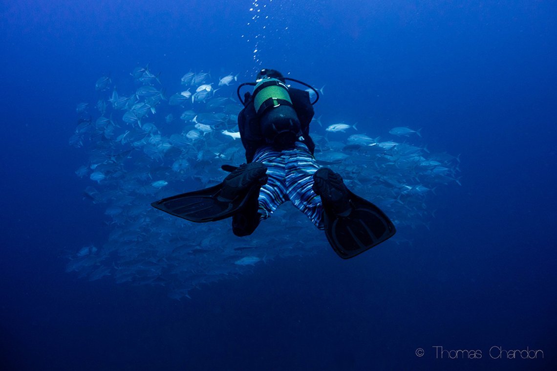 Liquid Dive Adventures - Diving Holidays