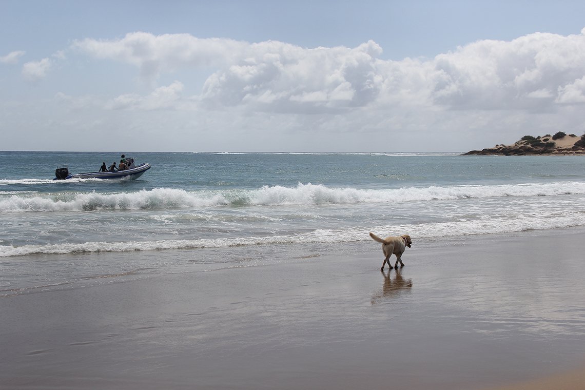 Liquid Dive Adventures - Diving Holidays