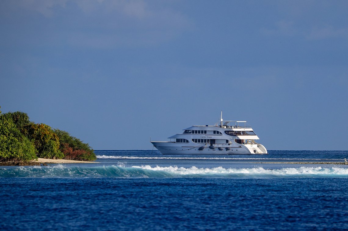 MV Carpe Diem - Diving Holidays