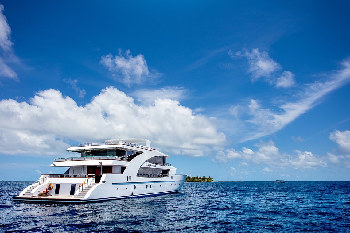 MV Carpe Novo - Diving Holidays MV Carpe Novo - Diving Holidays