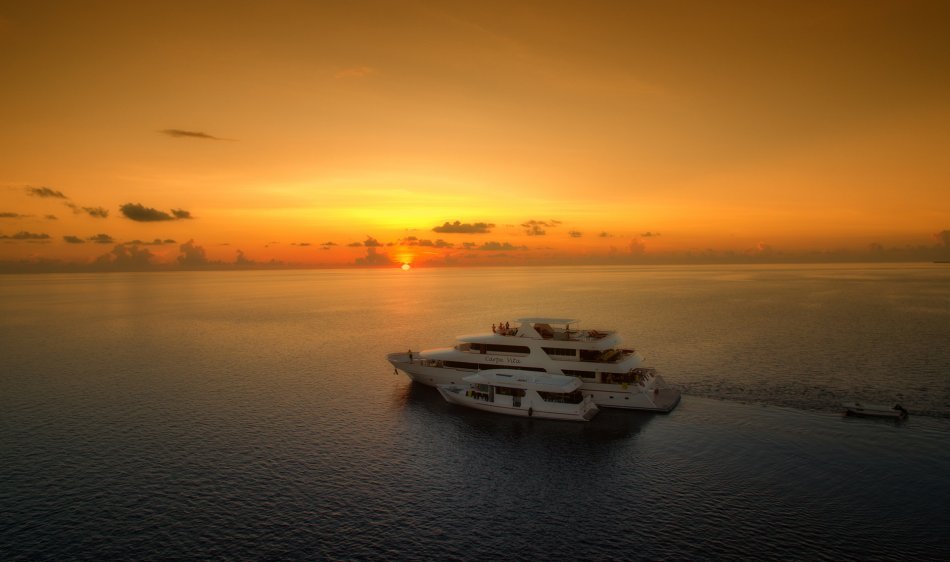 MV Carpe Vita - Diving Holidays