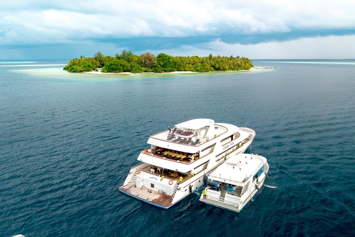 MV Carpe Vita - Diving Holidays MV Carpe Vita - Diving Holidays