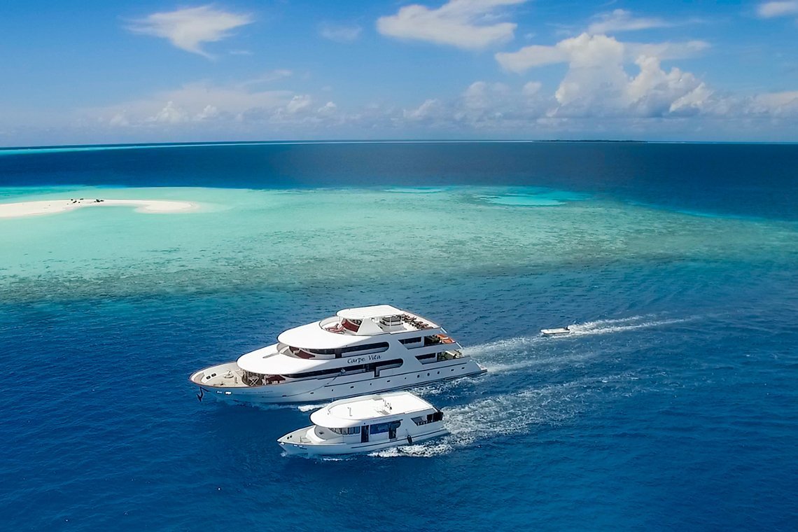 MV Carpe Vita - Diving Holidays MV Carpe Vita - Diving Holidays