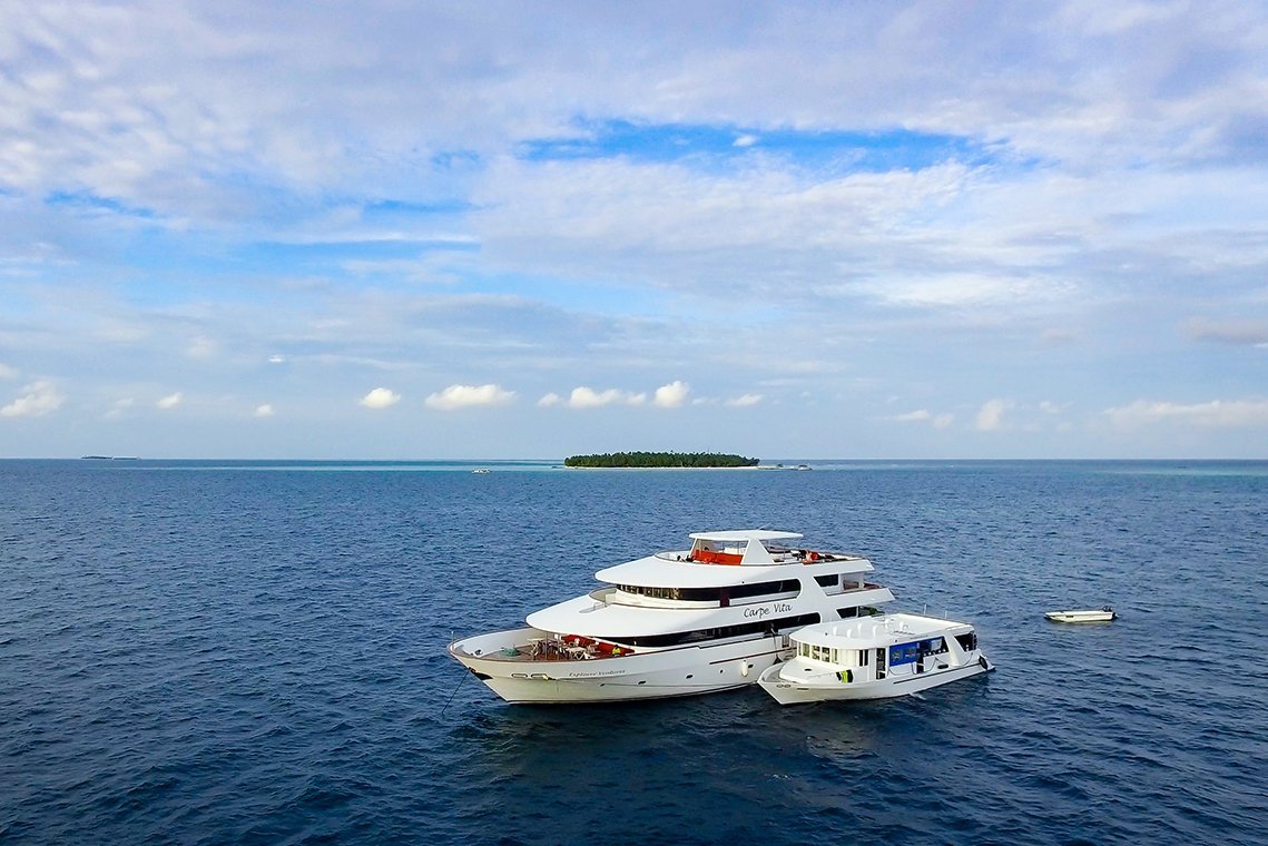 MV Carpe Vita - Diving Holidays MV Carpe Vita - Diving Holidays