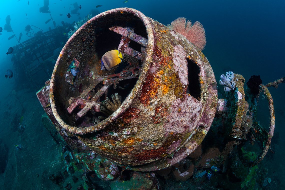 Siddhartha Diving Center - Diving Holidays Siddhartha Diving Center - Diving Holidays