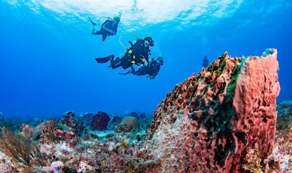 Yucatan - Diving Holidays