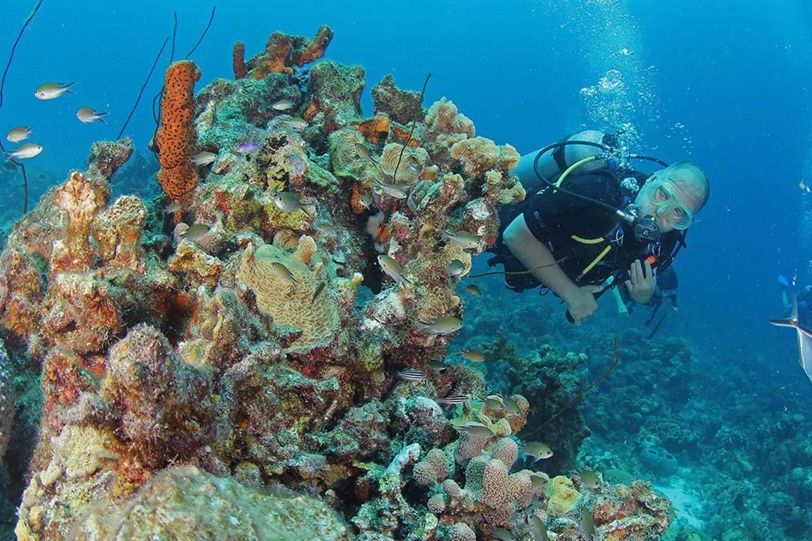 Scuba Lodge Duikcentrum Pietermaai - Diving Holidays Scuba Lodge Duikcentrum Pietermaai - Diving Holidays