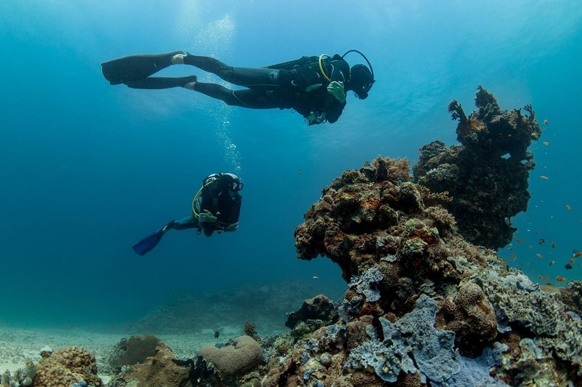 Mafia Island Diving - Diving Holidays