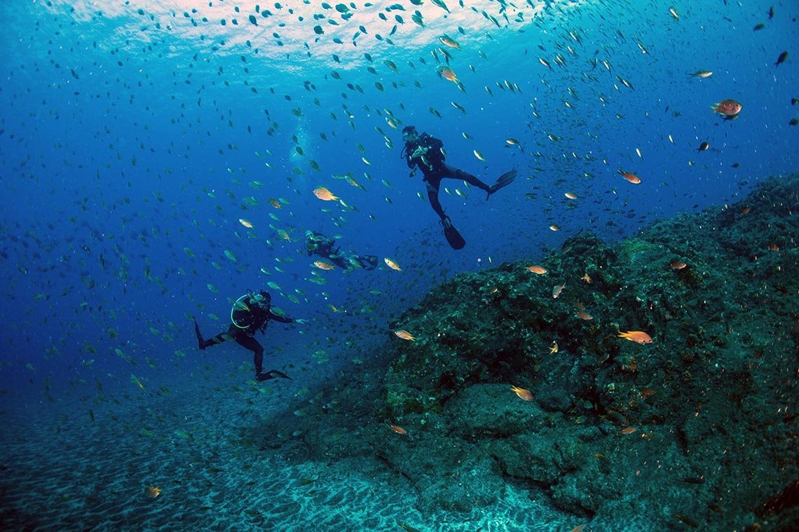 Green Turtle Diving - Diving Holidays