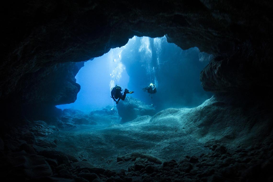 Green Turtle Diving - Diving Holidays