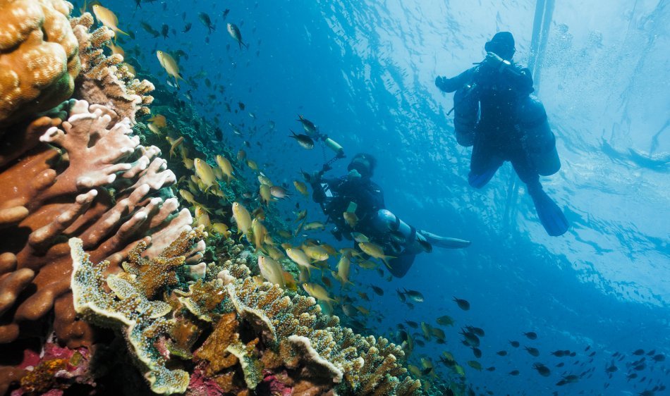 Cebu Seaview Dive Resort - Diving Holidays
