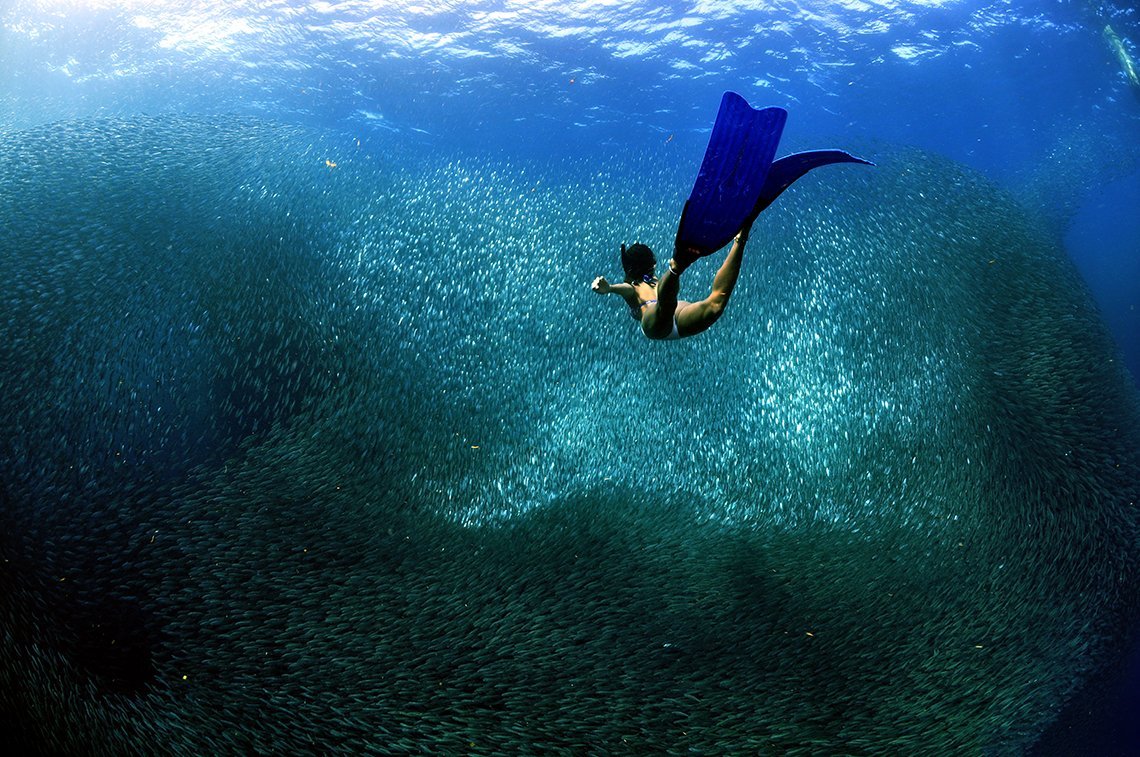 Cebu Fun Divers - Diving Holidays