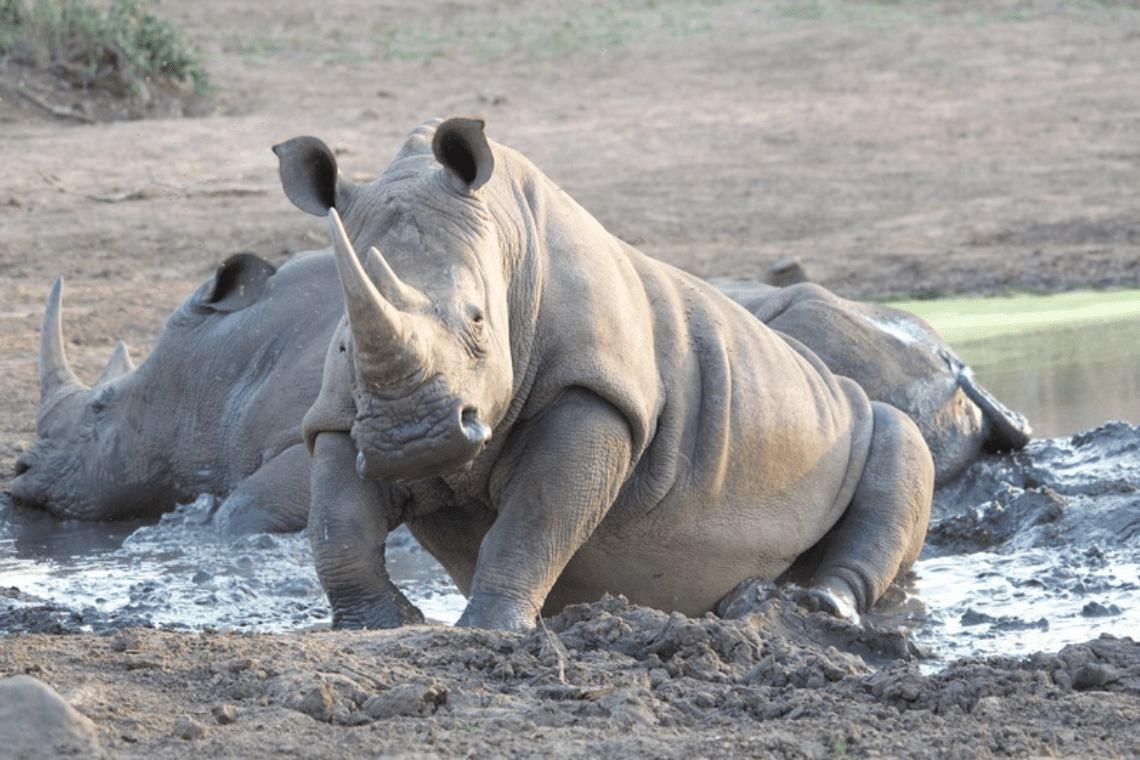 La Kruger Lifestyle Lodge