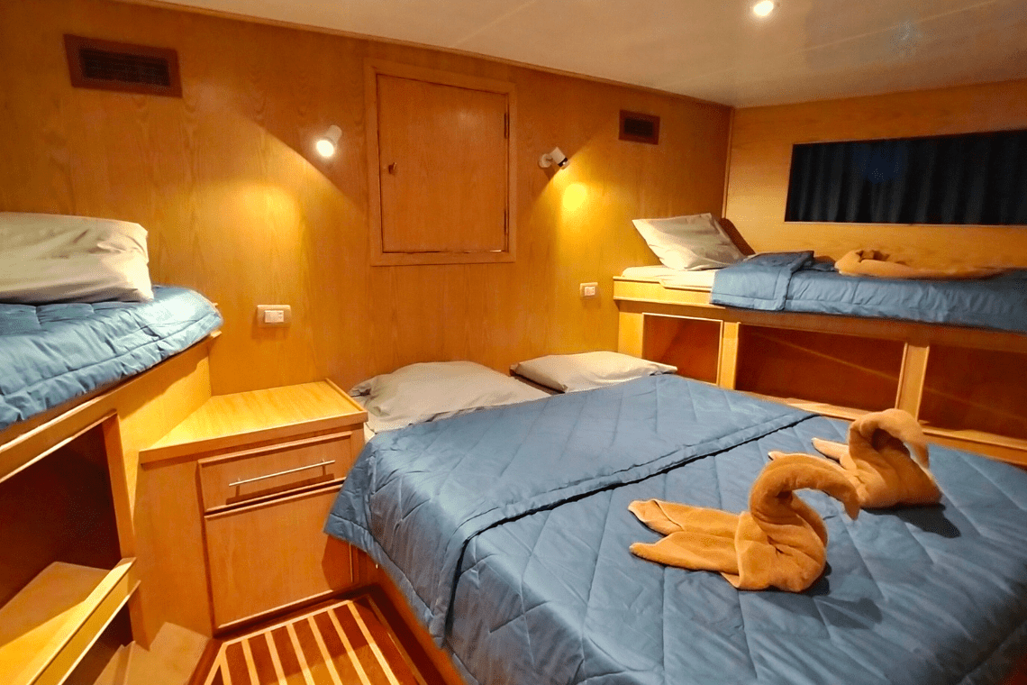 Freedom IV Freedom IV