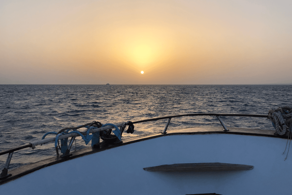 Freedom VIII Freedom VIII