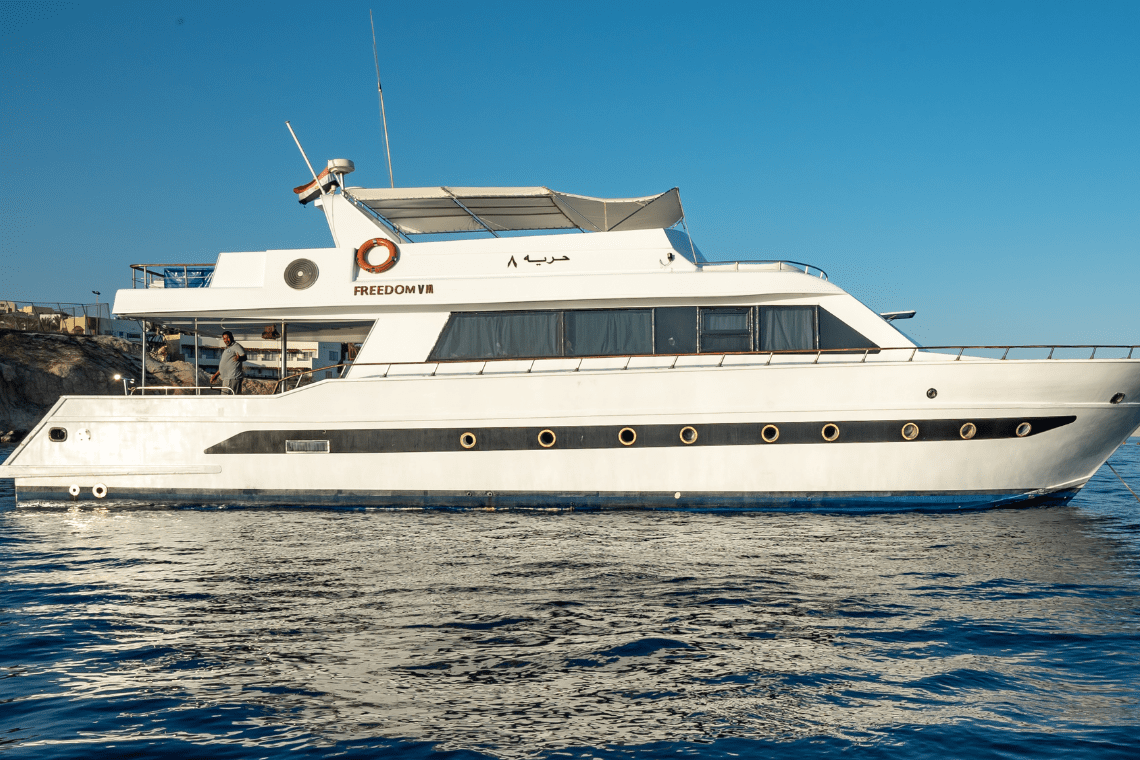 Freedom VIII Freedom VIII