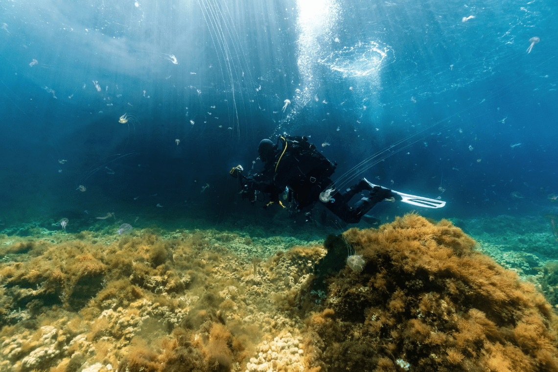 Ritual Dive Gozo - Diving Holidays Ritual Dive Gozo - Diving Holidays